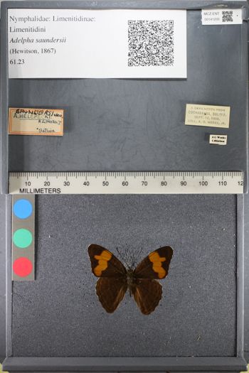 Media type: image;   Entomology 141205
